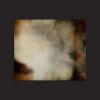 Permission For Space - Fine Art Digital Print | Prints by Angela Licciardi Art. Item made of aluminum & paper