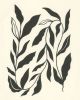 Windswept Print | Prints by Elana Gabrielle. Item composed of paper