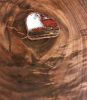 LIVE EDGE WALNUT COFFEE TABLE | Tables by Natural Wood Edge Creations by Rick Griggs. Item made of walnut