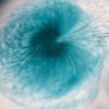 Deep Bloom | Oil And Acrylic Painting in Paintings by Art By Skevi. Item made of wood with synthetic