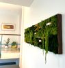 Custom Moss art | Mixed Media by Mona King | Six Hundredº in Winston-Salem