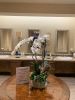 Tropical love arrangement | Floral Arrangements by Fleurina Designs | Almaden Golf & Country Club in San Jose