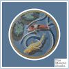 Wokingham Town Council External Floor Mosaics | Public Mosaics by Paul Siggins - The Mosaic Studio. Item composed of ceramic