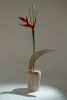 Blooming dome | Vase in Vases & Vessels by ZHENI. Item composed of stoneware