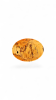 Sculptural Spalted Beech Bowl – A Masterpiece of Natural Art | Decorative Bowl in Decorative Objects by Holzkunst Samuel Meisinger. Item composed of wood compatible with art deco and modern style