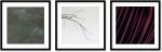 Abstract Photography Series from Nature | Photography by Scott Woodward Meyers Art. Item composed of paper in minimalism or contemporary style