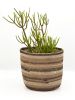 Black and White Jute Basket | Planter in Vases & Vessels by MOkun. Item made of cotton with fiber works with rustic style