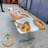 Personalized Epoxy Dining Table Made of Olive Tree | Tables by Nil Woodwork. Item composed of oak wood in industrial or mediterranean style