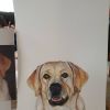 Theme: Pet portraits | Paintings by Yamini Reddy