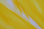Cresting Gold | Oil And Acrylic Painting in Paintings by Kate Wilson Fine Art. Item made of canvas with synthetic