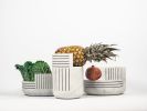 Tratti - medio | Serving Bowl in Serveware by gumdesign. Item made of marble works with contemporary style