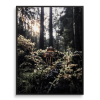FUNGI (9"x12" - 36"x48") I PNW I Nature Print I Wall Art | Photography by Jess Ansik. Item composed of paper in boho or contemporary style
