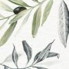 Olive Botanical Study Assemblage (Pair) Art Prints | Prints by Jennifer Lorton Art. Item made of paper works with contemporary & country & farmhouse style