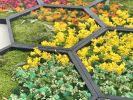 Rainbow Hexagon Moss Art XL 24" Frames | Wall Hangings by Mosstique. Item composed of wood in boho or eclectic & maximalism style