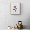 Rose Study No. 64 : Original Watercolor Painting | Paintings by Elizabeth Beckerlily bouquet. Item made of paper compatible with boho and minimalism style