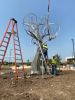 Mockingbird Tree by Michael Warrick, NSG | Public Sculptures by JK Designs and the National Sculptors' Guild