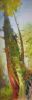 Oldgrowthforest Tree | Oil And Acrylic Painting in Paintings by Art by Bgr / Benedicte Grange Rogulski. Item composed of canvas and synthetic