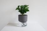 Kapi small anthracite | Planter in Vases & Vessels by Krafla | Krafla Studio in Kraków. Item composed of ceramic & glass compatible with minimalism and contemporary style