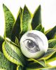 Eye_10 | Decorative Objects by neo