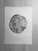 Grand Teton Tree ring print on 18x24 inch paper | Prints by Erik Linton. Item composed of synthetic