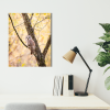 Photograph • Barred Owl, Woodland, Fall, PNW, Oregon, Autumn | Photography by Honeycomb. Item made of metal & paper