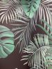 Charcoal Tropical Mural | Murals by Jenny Rozalsky Custom Murals | Space Coast Content Studio in Melbourne. Item in contemporary or coastal style