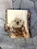 an-otter martini please, 18 x 24 | Wall Sculpture in Wall Hangings by Bisa Lisa Studio. Item composed of maple wood