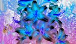 Night Flowers Blue | Photography by Marc VanDermeer. Item composed of canvas and aluminum