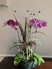 Orchid Arrangement | Floral Arrangements by Fleurina Designs. Item composed of ceramic