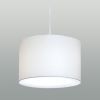 Drum Pendant | Pendants by ILEX Architectural Lighting | Brown University in Providence