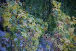 Maple and Oil | Digital Art in Art & Wall Decor by Daniel