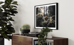 FOREST FUNGI (12"x9" - 48"x36") | Fine Art Print | Photography by Jess Ansik. Item made of paper compatible with boho and contemporary style