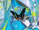 Innocence #10 | Photography by LAURENT ELIE BADESSI. Item made of paper