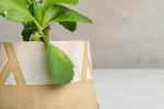 Small Ceramic Planter | Vases & Vessels by ShellyClayspot. Item made of ceramic works with contemporary & modern style