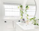 BRAID & WOOD Plant Hanger (Larger) | Plants & Landscape by Braid & Wood Design Studio. Item made of maple wood & cotton