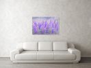 Lupines in Dublin | Photography by Vanessa Thomas. Item made of paper