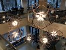 Axone Pendant | Chandeliers by LightLitepdx
