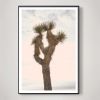 Joshua Tree with Pastel Sky | Photography by Capricorn Press. Item made of paper works with boho & contemporary style