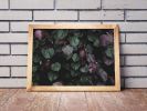 Winter leaves I | Limited Edition Print | Photography by Tal Paz-Fridman | Limited Edition Photography. Item made of paper works with country & farmhouse & coastal style