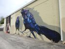 The grackles | Street Murals by Anat Ronen | FacilityRx in San Antonio