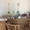 Agave  Illustration | Murals by Sonoran Witch Boy | Posada by the Joshua Tree House in Tucson. Item made of synthetic