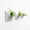 Node S Wall Planter, 6" Modern Plant Wall Set, Gray | Plant Hanger in Plants & Landscape by Pandemic Design Studio. Item composed of stoneware compatible with minimalism and mid century modern style