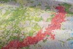 Sacha Jason Guyana Dreams - Frank Bowling | Area Rug in Rugs by Odabashian (official) | Hales Gallery in London. Item made of wool with fiber