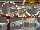 Valkor "B" Series Marble Machine | Sculptures by Bandhu Dunham