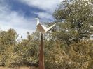 Crane Rising | Public Sculptures by KevinBoxStudio | Santa Fe Botanical Garden in Santa Fe