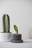Self-draining Planter | Vases & Vessels by Stone + Sparrow