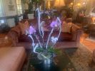 Vintage orchid arrangements | Floral Arrangements by Fleurina Designs | Hotel Los Gatos - A Greystone Hotel in Los Gatos