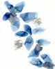 water remembering | original abstract art | Watercolor Painting in Paintings by Megan Spindler. Item made of canvas