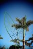 Verde Gardens | Public Mosaics by Carlos Alves & JC Studios