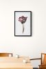 Tulip : Original Ink Painting | Watercolor Painting in Paintings by Elizabeth Beckerlily bouquet. Item composed of paper compatible with minimalism and contemporary style